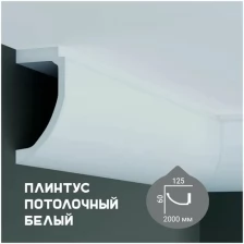 Карниз с гладким профилем Fabello Decor P 883,плинтус потолочный белый грунтованный, 60*125*2000 мм